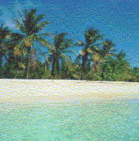 Morrocoy
